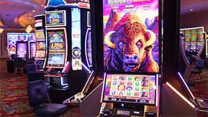 22bet top